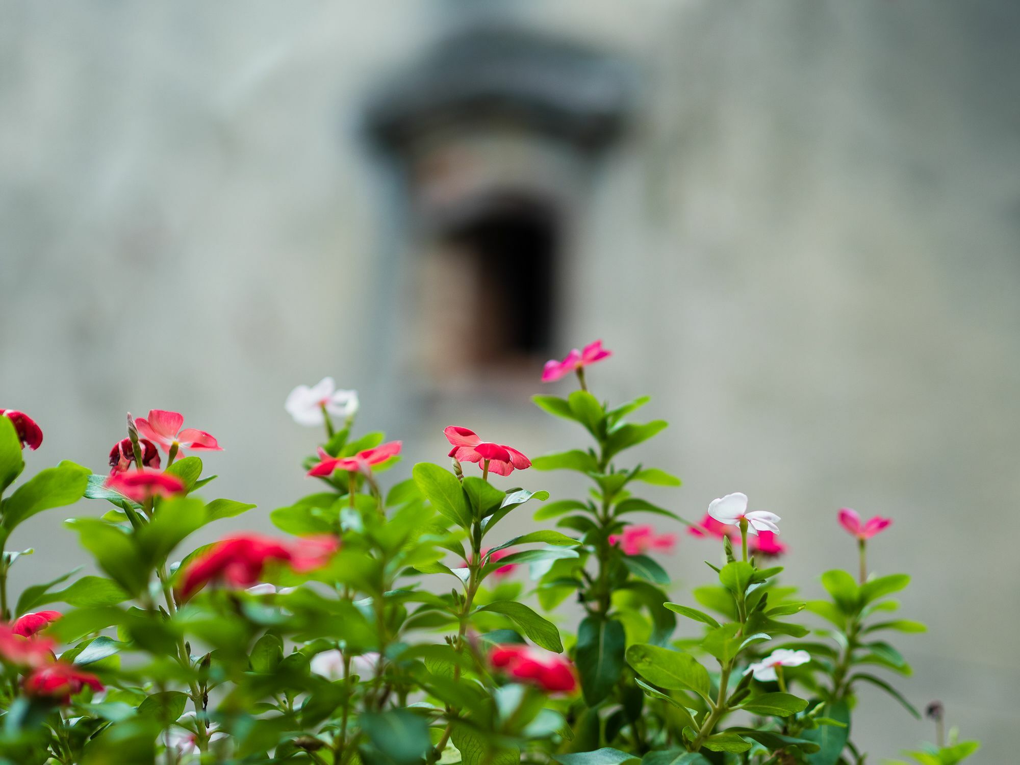 Hanoi Balcony Homestay Eksteriør bilde